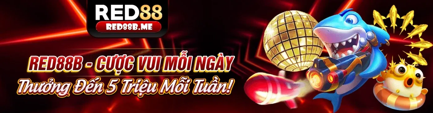 Hình ảnh chính về oke 88